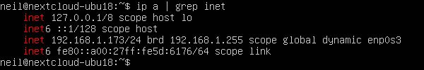 Exécutez ip a | grep inet.