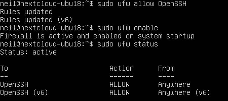 Exécutez sudo ufw allow OpenSSH, puis exécutez sudo ufw enable.