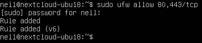 exécutez sudo ufw allow 80,443/tcp.